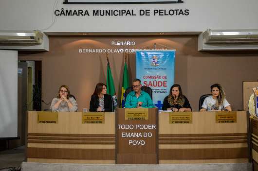 Audiência ocorreu na Câmara Municipal de Pelotas