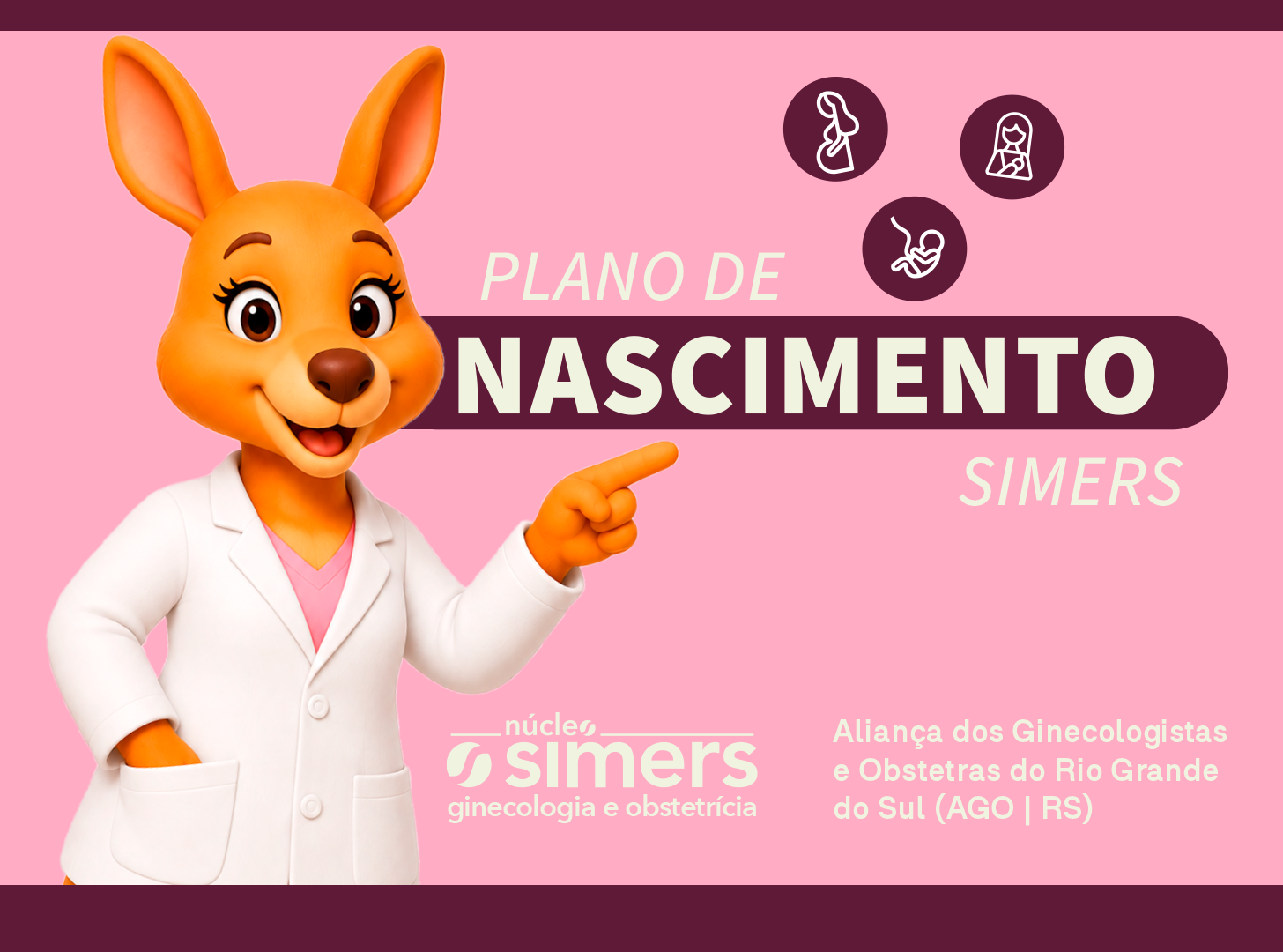 Plano de Nascimento Simers